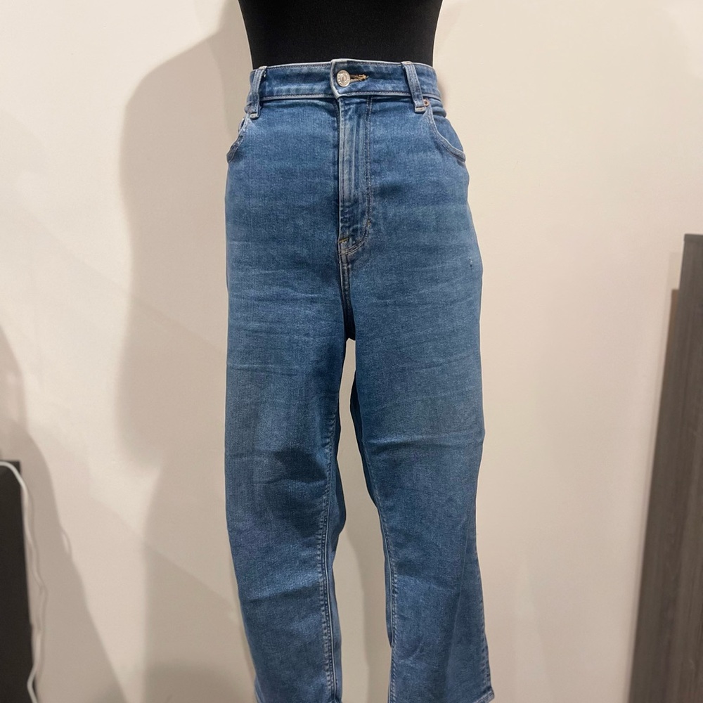 American Eagle Outfitters Mom Jeans 12 xshort